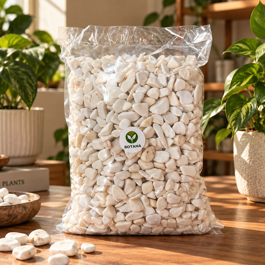 Botana | Premium Beyaz Dolomit Saksı Taşı 4 Kg