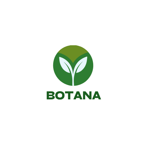Botana
