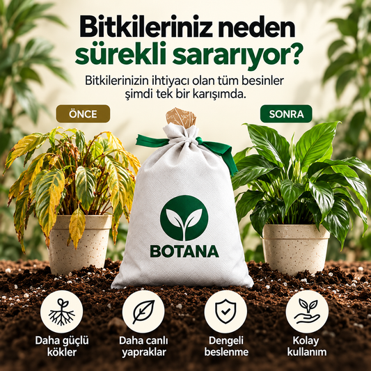 Botana | Organik Bitki Toprağı
