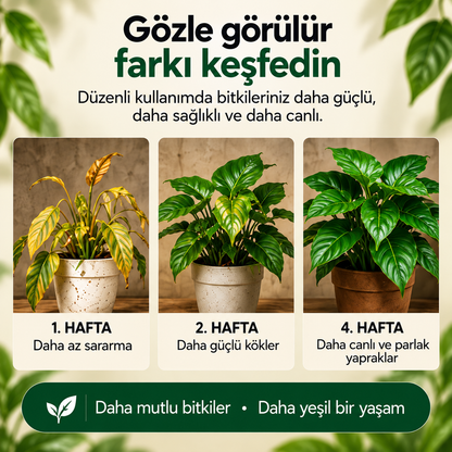 Botana | Organik Bitki Toprağı