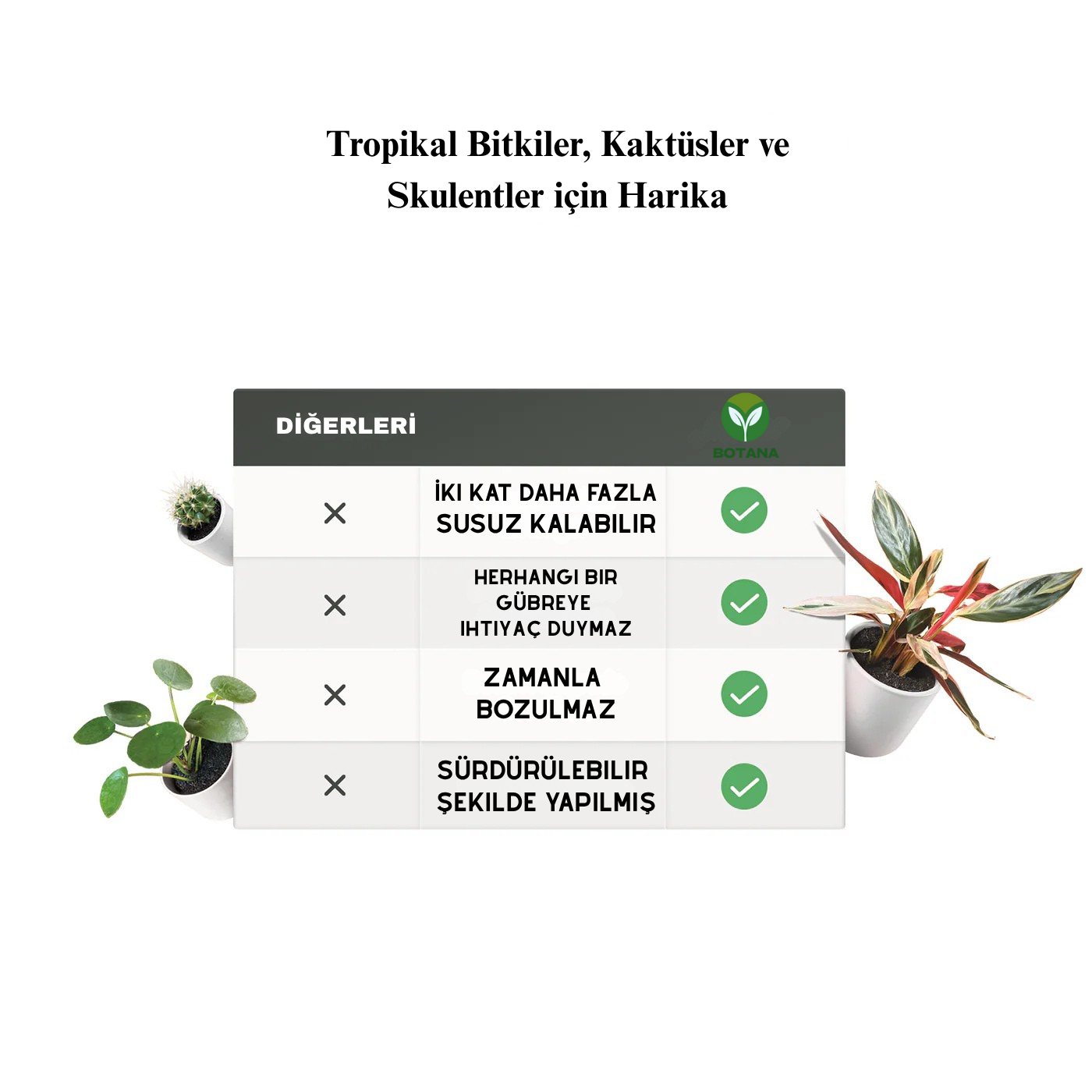 Botana | Besleyicili Bitki Toprağı